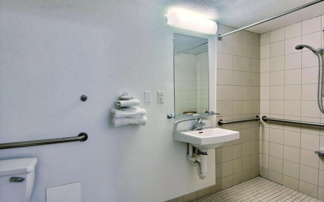 Holiday Inn Express & Suites Houston SW - Galleria Area by IHG