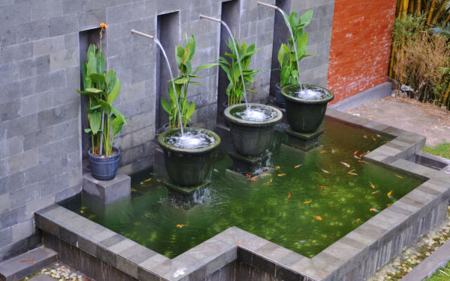 Arsela Hotel Pangkalan Bun
