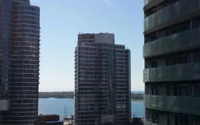 Pelican at Rogers Centre
