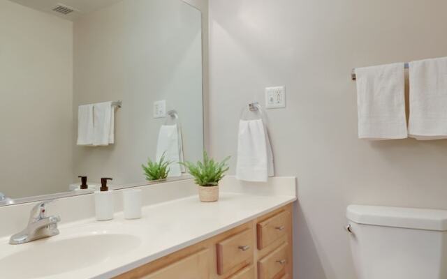 Stylish & Fantastic apt in Crystal City