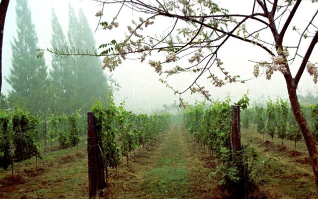 Village Farm & Winery