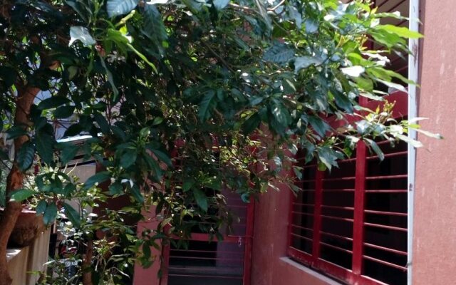 Lelbi Rooms 2101