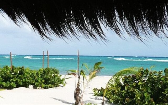 Almaplena Eco Beach Resort