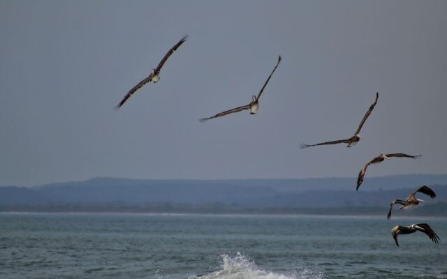 Suite San Marcos 124 Gran Pacifica Resort