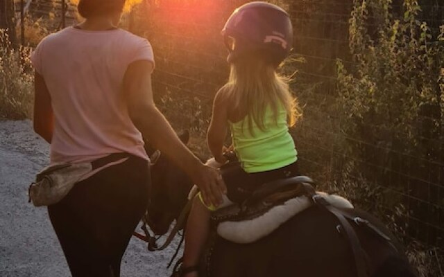 Arion Stables & Apartments