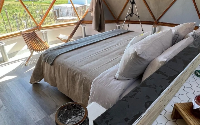 Santerra, Valle de Guadalupe