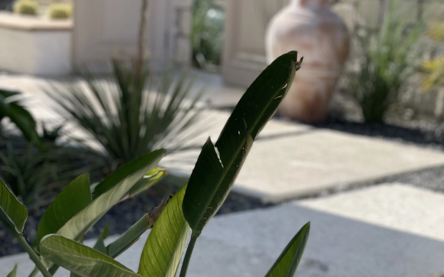 Voger Alacati Silence