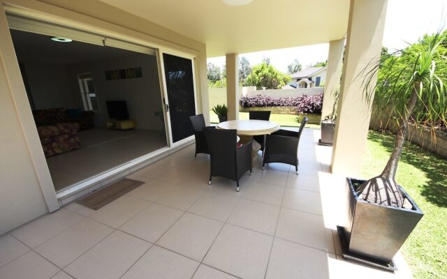 Geckos at South West Rocks