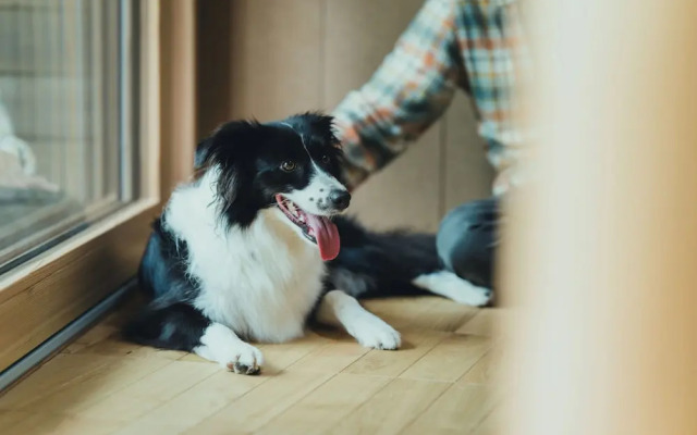 SANU 2nd Home Hakuba1st