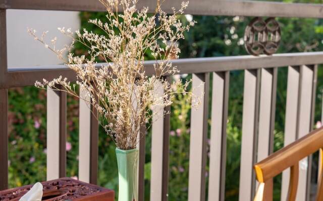 Ideal Villa and Hostel