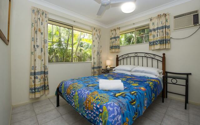 Island Dreams