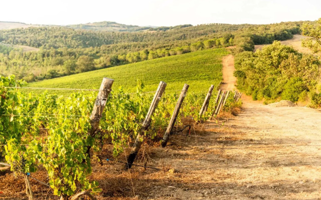 Tenuta Casteani