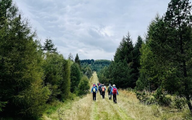 Chalet & Apart Fichtelberger - Blick