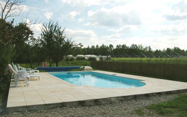 les tilleuls de la voie verte