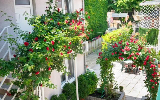 Davidovi Relax Guest Rooms