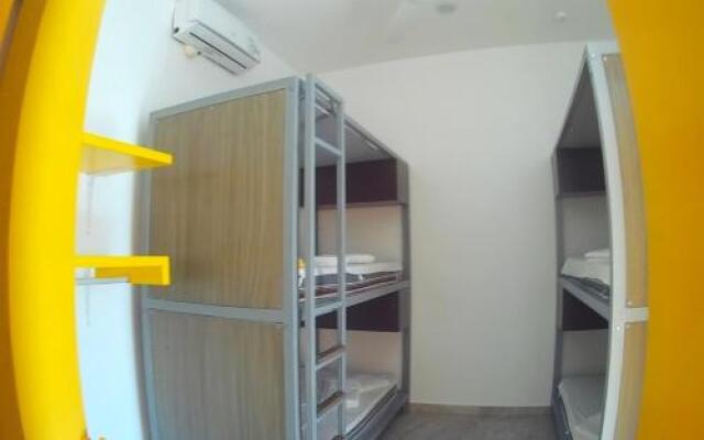 Hostel Humanity