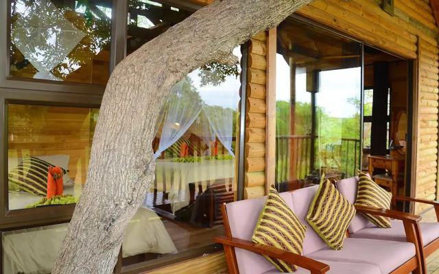 Pezulu Tree House Lodge