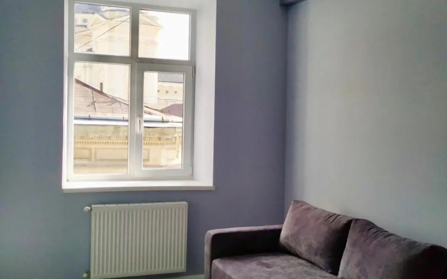 Romantic Panorama Krakivska street