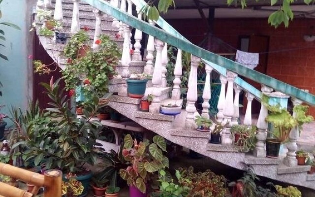 Apartments on Javakhishvili 14