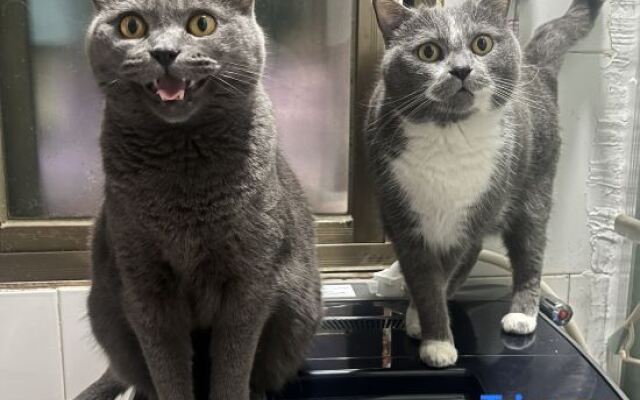 Xiaomi Apartment (Xiamen Gaoqi Airport)