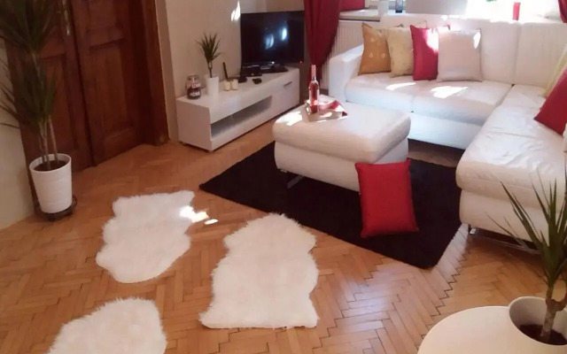 Spacious 3BDR Wenceslas Square