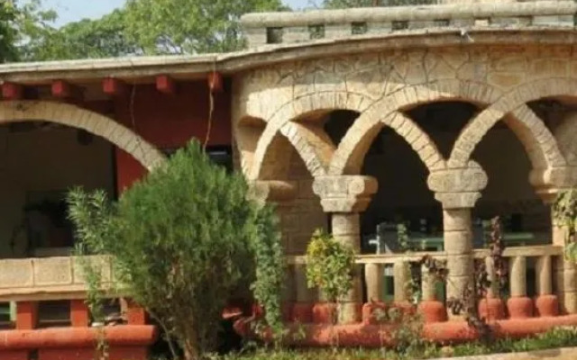 Jungle lodge maneland