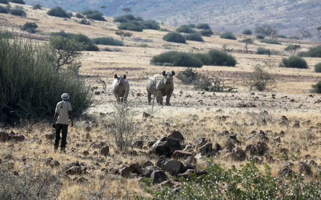 Palmwag Lodge