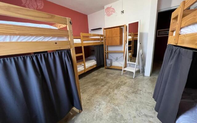 Casa Coral - Hostel