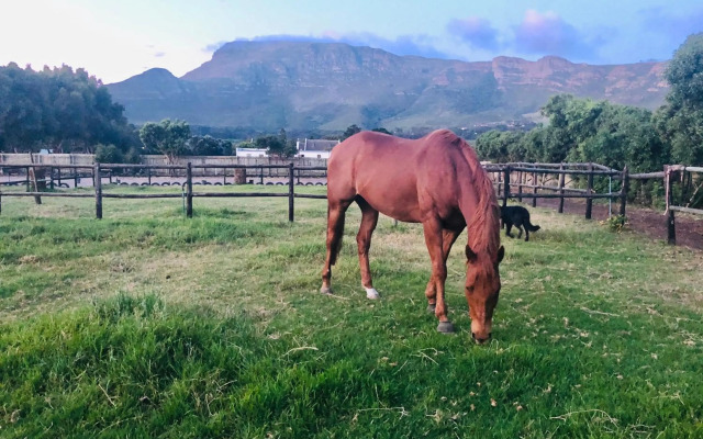 Noordhoek The Lookout