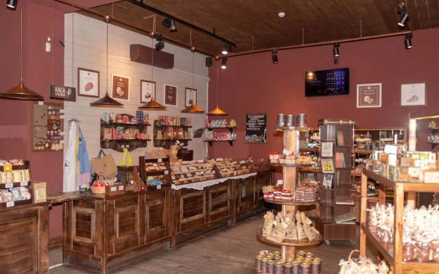 Lviv Suites at Shopena st. 4