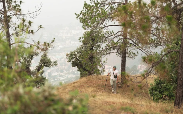 Amaraya by Larisa Nainital