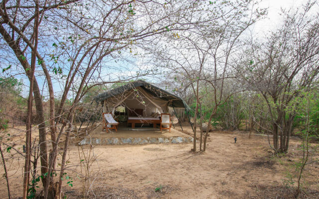 Yala National Park Camping