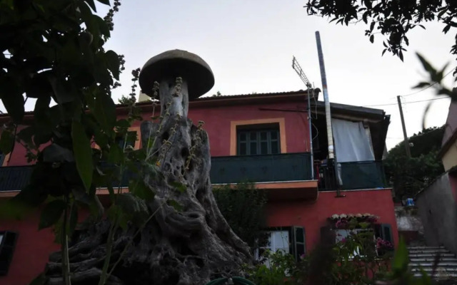 FinetsiosLenia House