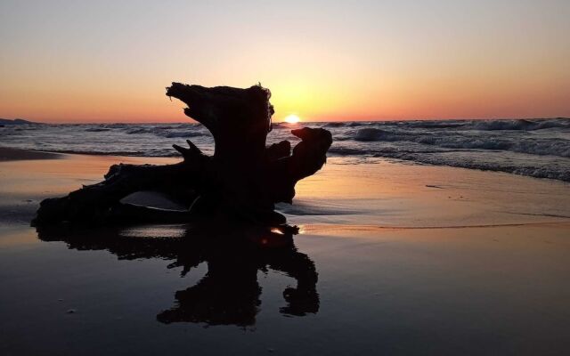 Sunshine Motel and Cabins