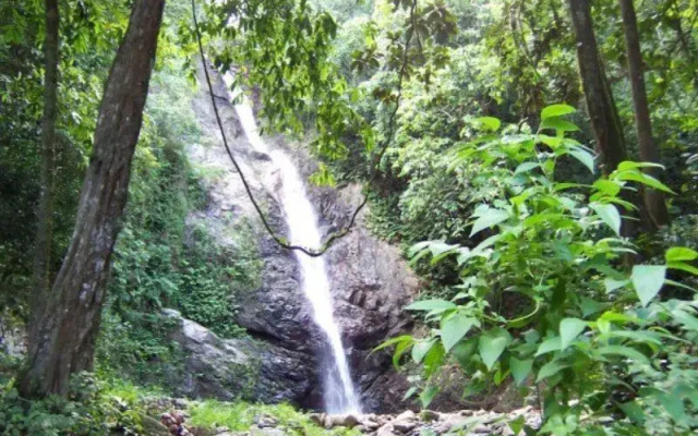 Nalesutale Village Lodges