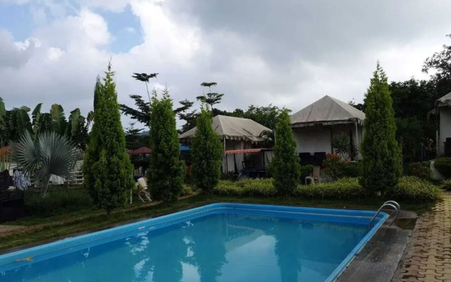 Wild Hill Top Resort