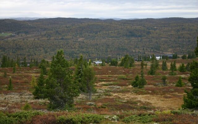 Fagerhøy Fjellstue