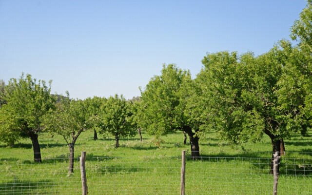 SA Parellada - Premium