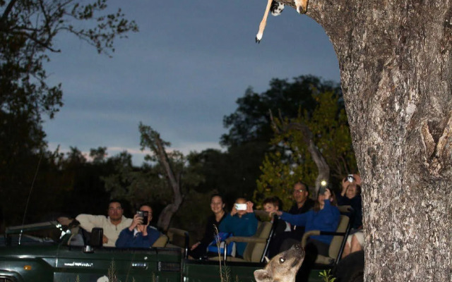 Elephant Plains Game Lodge