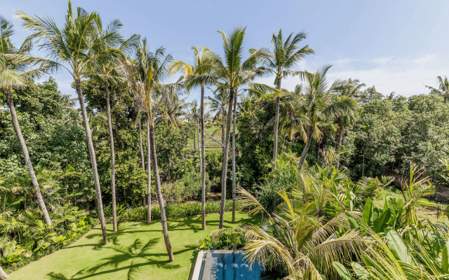 Design Perfection In Pererenan