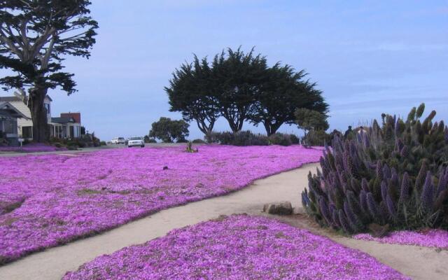 Aura Inn Monterey