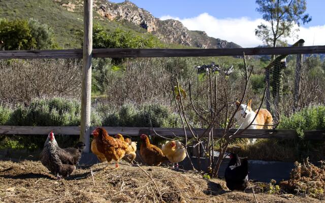 Kogman and Keisie Guest Farm