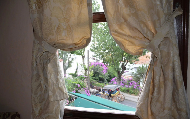 Büyükada Anastasia Meziki History Mansion