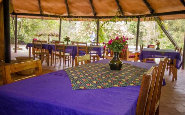 Bushara Island Camp