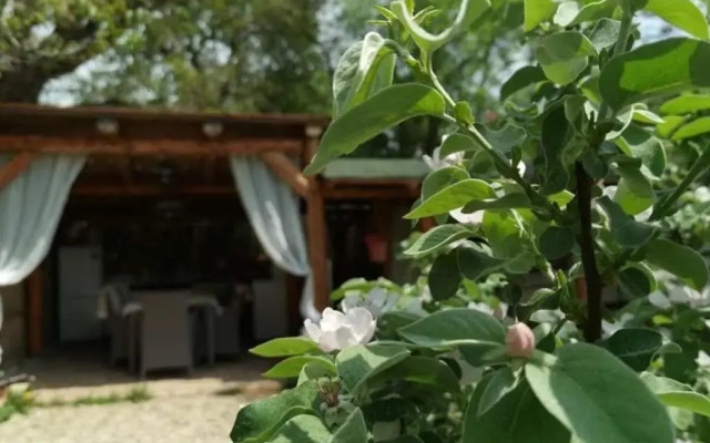 Őrségi Nomád-Lak Nomád 1