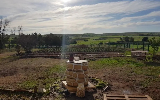 Maison la Branche d Oiseaux