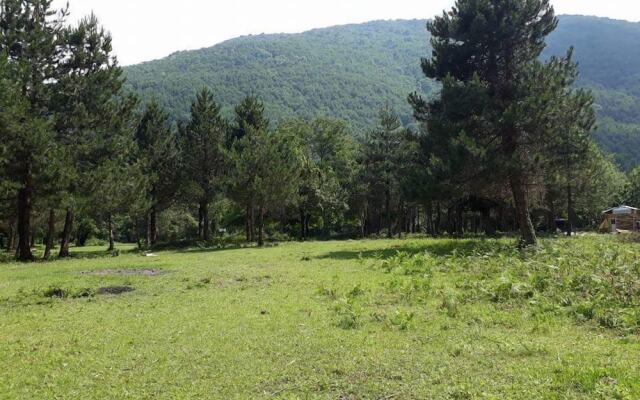 Kirkahvesi Garden - Campsite