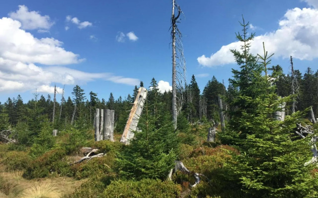 Vila 66 - Čistá v Krkonoších