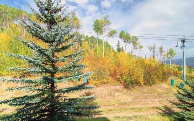 Borders Lodge - Upper 401 3br/3.5ba