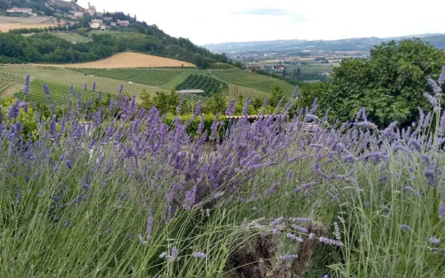 Agriturismo Solestelle